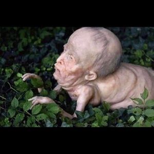 Meet your Posher, Zoe